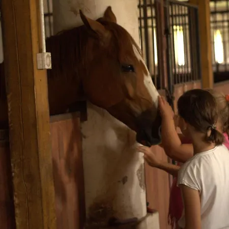 פארק נופש Selment Mazury אלק