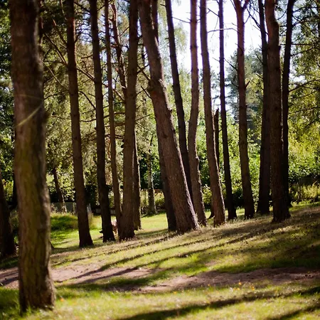 פארק נופש Selment Mazury אלק