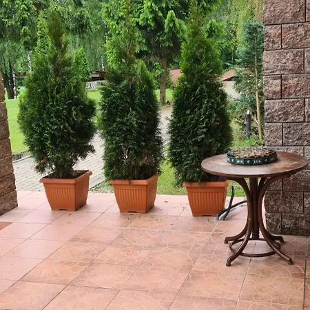 Selment Mazury אלק