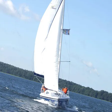 Selment Mazury Elk