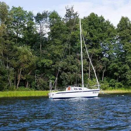 Selment Mazury Elk