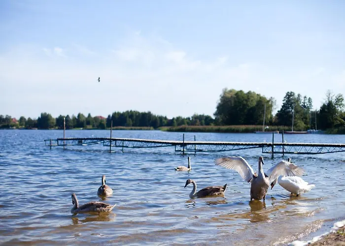 Holiday park Selment Mazury Elk