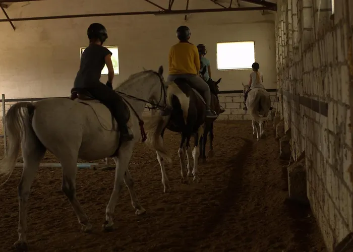 Holiday park Selment Mazury